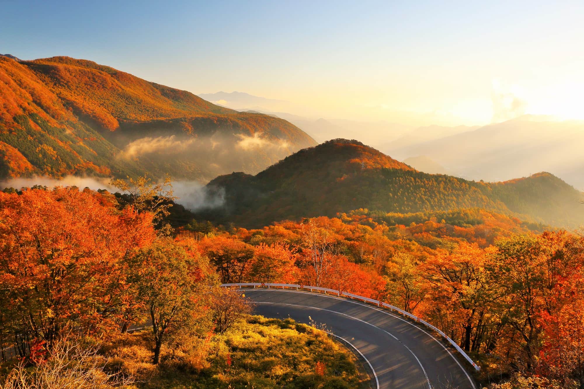 紅葉のいろは坂