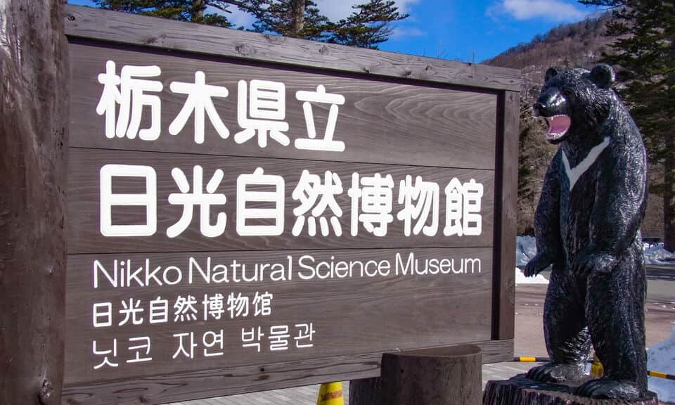 栃木県立日光自然博物館