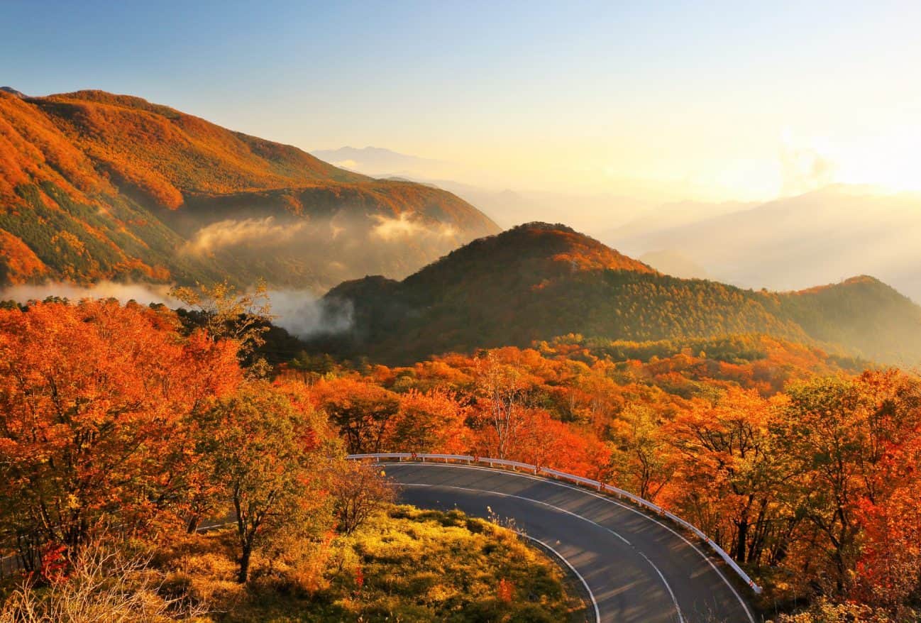 紅葉のいろは坂